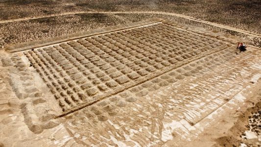 Grootfontein Project img 20250512 wa0106