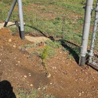 Damlaagte Project img 20250512 wa0145