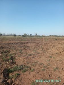 Bolobedu Project photo 2024 04 30 15 18 41